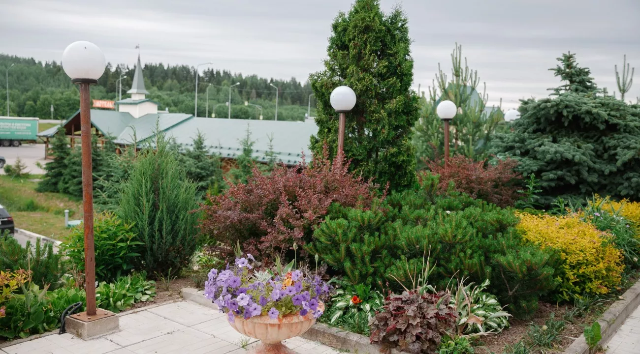 Галерея. Фото 15